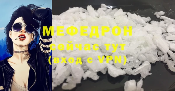 мдпв Долгопрудный