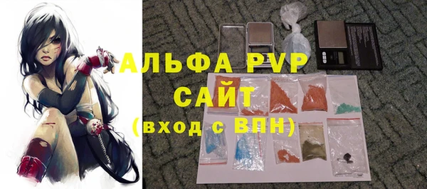 мдпв Долгопрудный