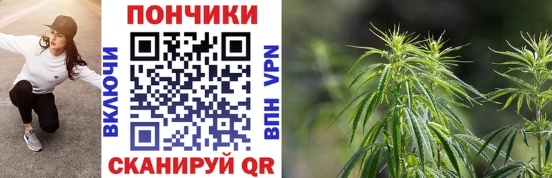 Марихуана семена  KRAKEN зеркало  Заволжск  где найти наркотики 